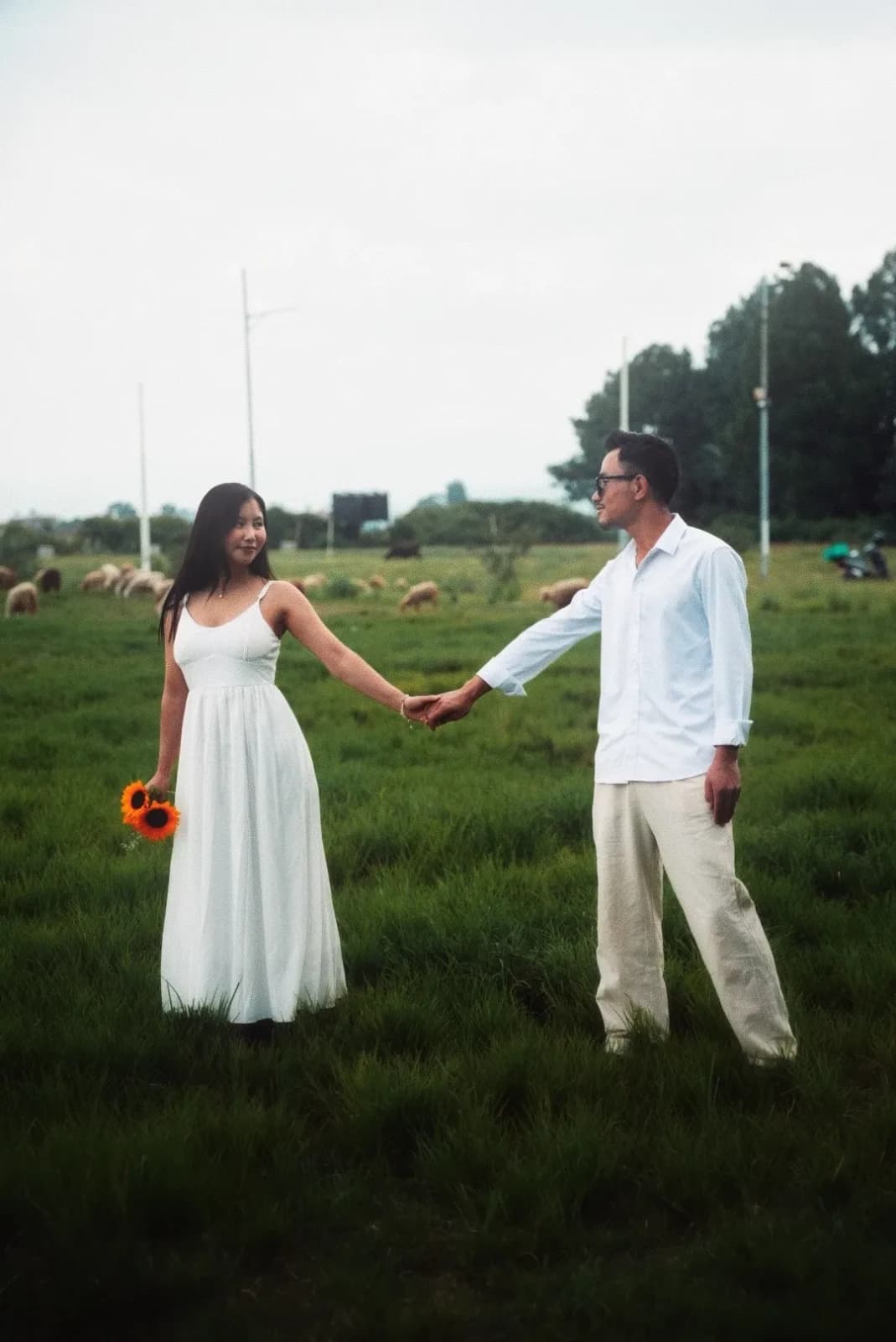 Where the Meadow Meets Us